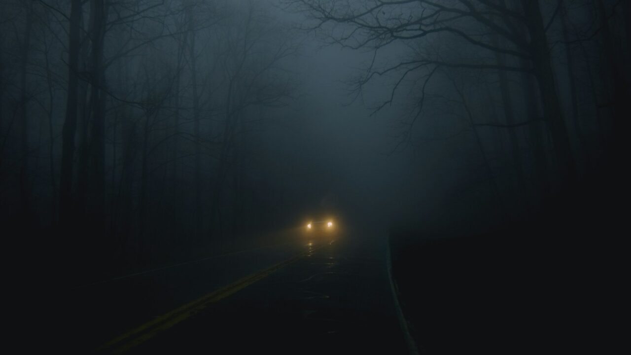 A vehicle with headlights on driving on a dark road lined with trees on both sides