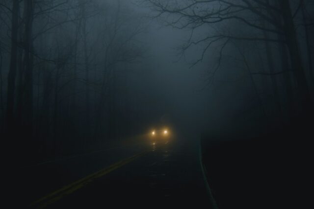 A vehicle with headlights on driving on a dark road lined with trees on both sides