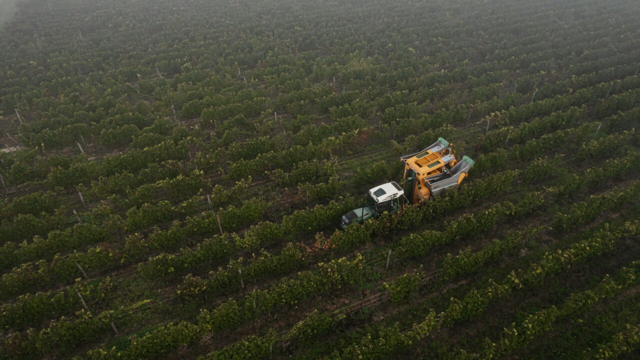 Aerial view of a yellow and white harvesting machine working through rows of crops in a large field