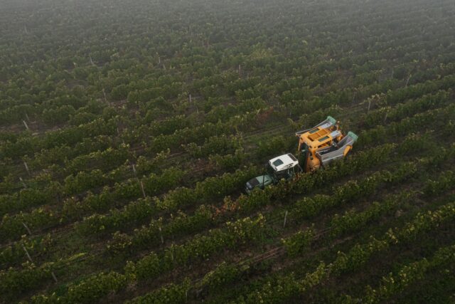 Aerial view of a yellow and white harvesting machine working through rows of crops in a large field